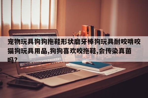 宠物玩具狗狗拖鞋形状磨牙棒狗玩具耐咬啃咬猫狗玩具用品,狗狗喜欢咬拖鞋,会传染真菌吗?