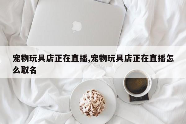 宠物玩具店正在直播,宠物玩具店正在直播怎么取名