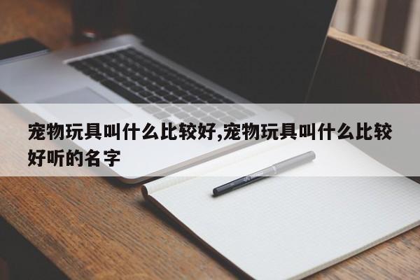 宠物玩具叫什么比较好,宠物玩具叫什么比较好听的名字