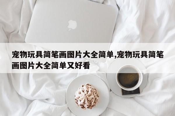 宠物玩具简笔画图片大全简单,宠物玩具简笔画图片大全简单又好看